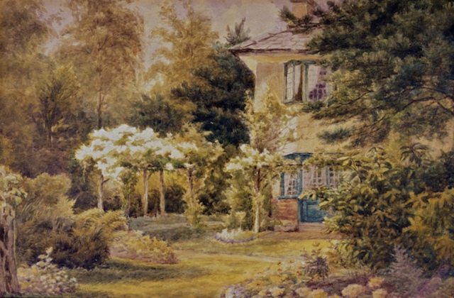 This image for Image Layouts addon